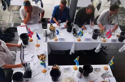 Deutsche Weine erobern den skandinavischen Markt (Foto: Deutsches Weininstitut)